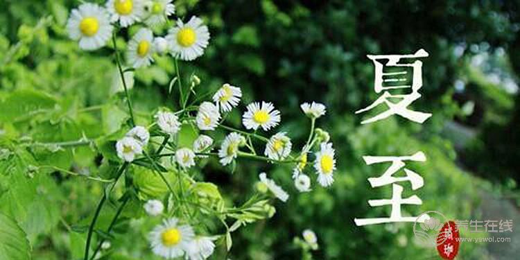 2019年什么時候夏至 夏至時間幾點幾分