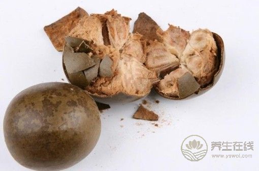 春分清熱通便 泡一杯羅漢果足以