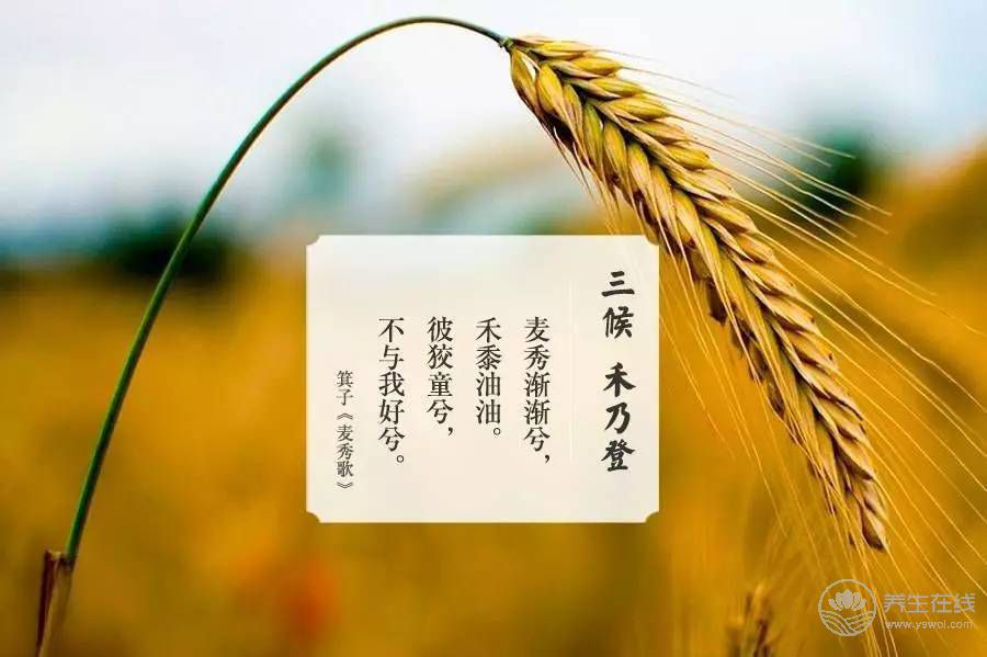 處暑的來歷 處暑的來歷