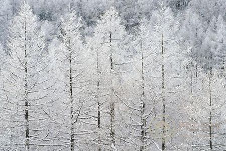 大雪節氣調理身體非常重要
