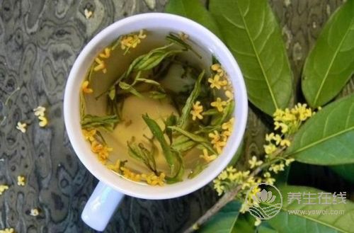 春季常喝一種茶 清新口氣除口臭 春季常喝一種茶 清新口氣除口臭
