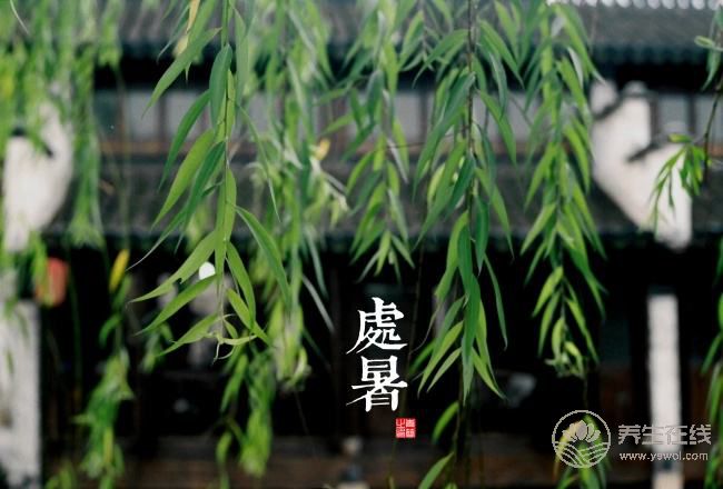 2017年二十四節(jié)氣—處暑  處暑是什么？
