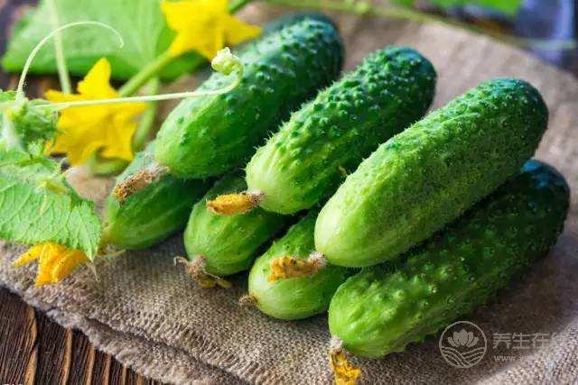 夏天吃黃瓜竟有這么多好處  可獲十大營養功效