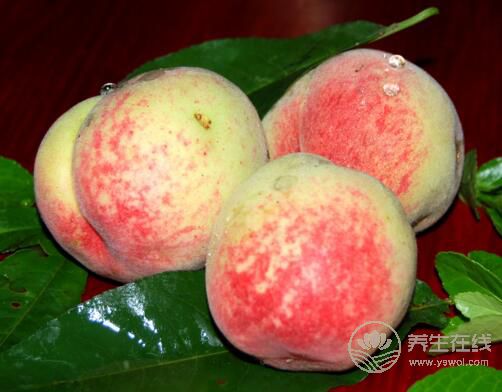8月份不可錯(cuò)過的水果，味美營養(yǎng)養(yǎng)生