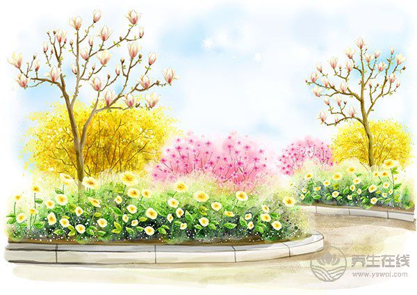 春夏交替話養生 春夏交替話養生