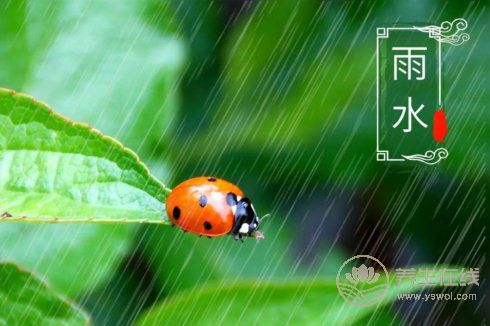 2019年雨水巧遇元宵節，二十四節氣之雨水養生篇