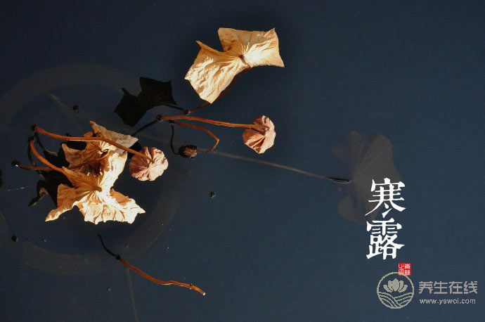 2018寒露時(shí)間_寒露是什么時(shí)候_吃什么養(yǎng)生_寒露習(xí)俗