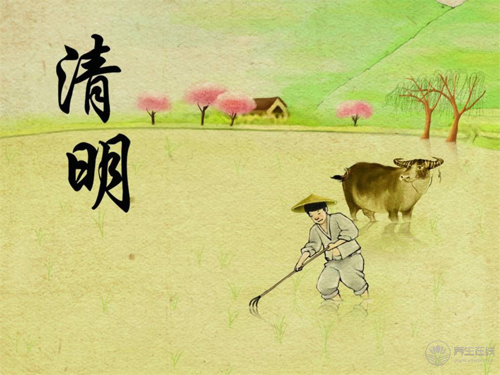 清明節氣<a href=http://www.aoa7937.com/jkys/ target=_blank class=infotextkey>養生</a>飲食:多吃護肝食品少吃“發物” 清明節氣養生飲食:多吃護肝食品少吃“發物”