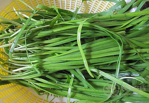 冬天到，常吃3種青菜，好吃營養，全家人都愛
