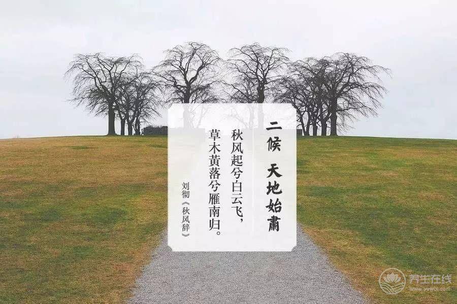 處暑的來歷 處暑的來歷