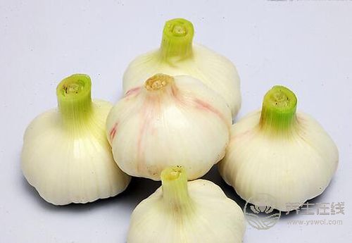 春季養(yǎng)護(hù)血管,這4種蔬菜你該多吃 春季養(yǎng)護(hù)血管,這4種蔬菜你該多吃