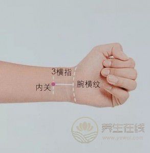 春節長假至，出游如何不暈車？試試這7招