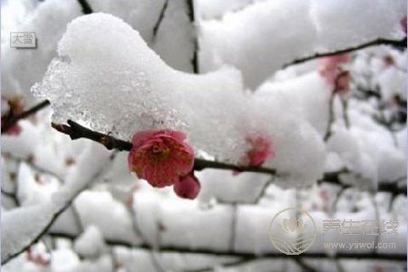 大雪節(jié)氣天氣有哪些特點(diǎn)?