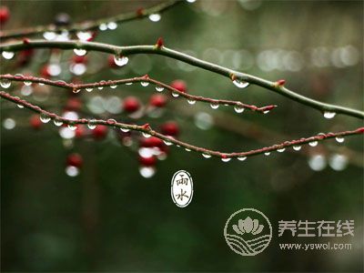 雨水養生：嗑多瓜子、春燥，上火怎么辦