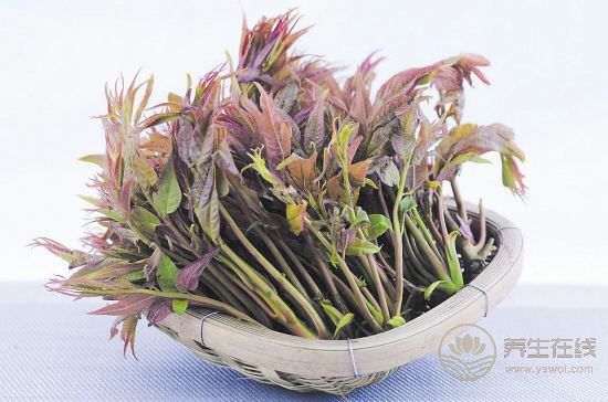 春季養生哪家強，蔬菜水果來幫忙