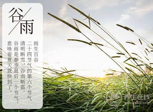 谷雨時節,谷雨如何養生 谷雨時節,谷雨如何養生