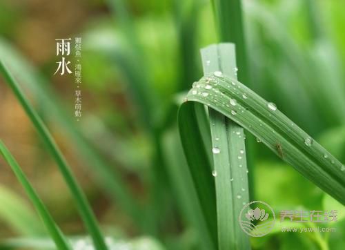 2019年雨水巧遇元宵節，二十四節氣之雨水養生篇