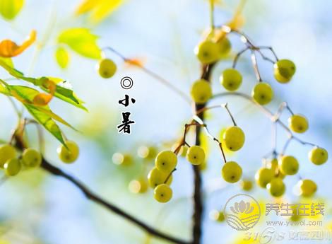 2019年什么時(shí)候小暑 小暑時(shí)間幾點(diǎn)幾分 2019年什么時(shí)候小暑 小暑時(shí)間幾點(diǎn)幾分
