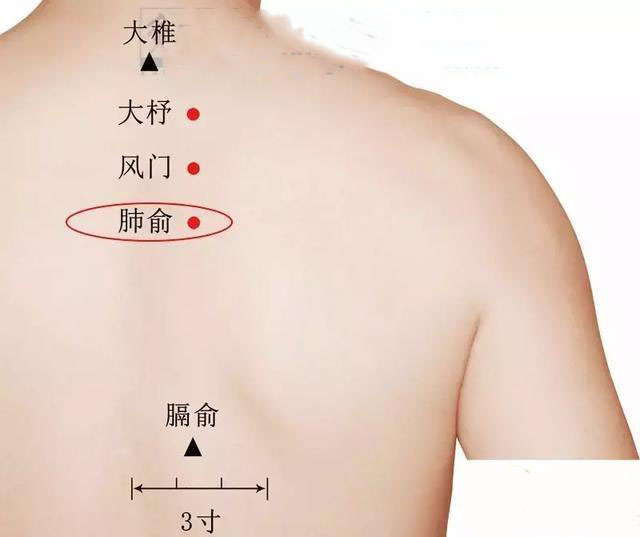 夏天是“養(yǎng)肺黃金期”，做到這4招，一年不得肺病！