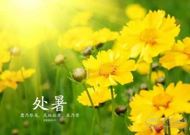 處暑養生吃什么 四款美食養胃又潤燥