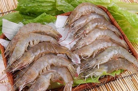 秋冬季吃什么海鮮好 八種海鮮美味營(yíng)養(yǎng)
