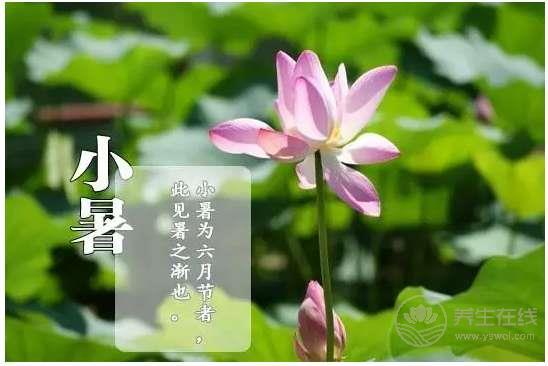 節(jié)氣養(yǎng)生—小暑怎么養(yǎng)生
