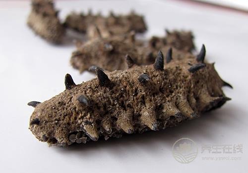 秋冬季吃什么海鮮好 八種海鮮美味營(yíng)養(yǎng)