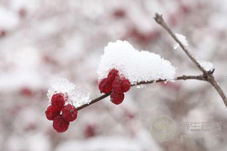 大雪節氣吃什么?有什么習俗?