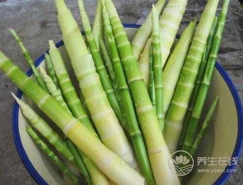 提高抵抗力病毒不入侵！春天提升免疫力的10大好食材