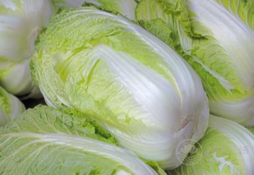 冬天到，常吃3種青菜，好吃營養，全家人都愛