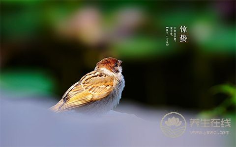 驚蟄健脾益氣，喝這個湯正好