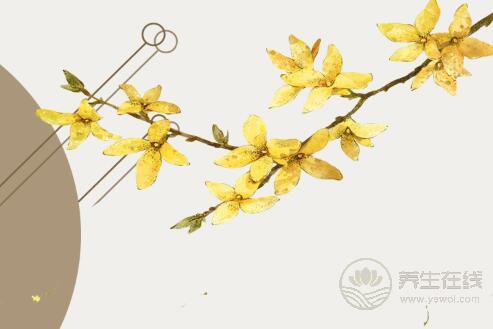 寒露后最適合用桂花入茶，暖胃甜香味道好，深秋養(yǎng)生必備