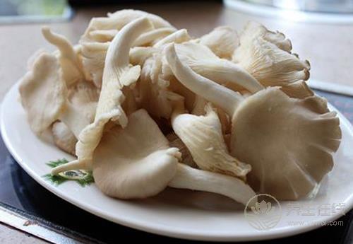秋季多吃菌類，營養豐富，對身體好處多多
