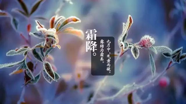 今日霜降，周末冷空氣開始下降，這些養(yǎng)生保健常識(shí)不可不知