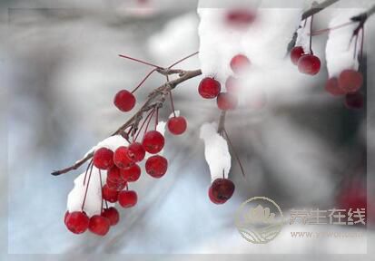 小雪節(jié)氣要注意預(yù)防四種常見病