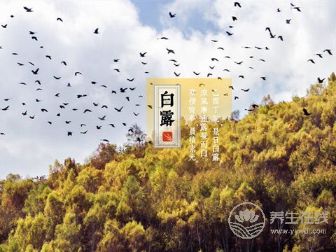2019年什么時候白露 白露時間幾點(diǎn)幾分