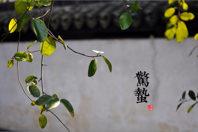 2018驚蟄時間_驚蟄是什么時候_吃什么<a href=http://www.aoa7937.com/jkys/ target=_blank class=infotextkey>養(yǎng)生</a>_驚蟄習俗 2018驚蟄時間_驚蟄是什么時候_吃什么養(yǎng)生_驚蟄習俗