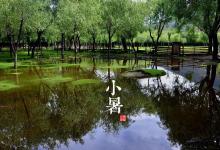2018小暑時間_小暑是什么時候_吃什么養(yǎng)生_小暑習俗
