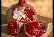 秋季養生重在“潤肺”！7大“養肺”食物為家人收了