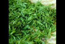 清明茶什么時(shí)候采？喝清明茶有哪些好處
