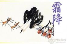 霜降養生是什么？
