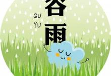 谷雨養生,你應該在飲食上這樣注意一下！