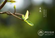 谷雨時節，谷雨如何養生