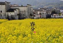 2018春分時間_春分是什么時候_吃什么養生_春分習俗
