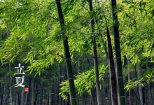 2018立夏時間_立夏是什么時候_吃什么養(yǎng)生_立夏習(xí)俗