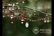 雨水養(yǎng)生：嗑多瓜子、春燥，上火怎么辦