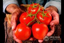 男人夏季想要補(bǔ)陽氣？5種食物一定得吃