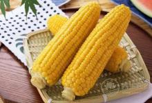 當秋養生吃玉米