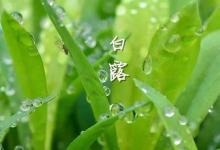 節氣養生有妙招  讓準媽安全度過“白露”劫