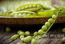“苦夏”沒食欲，試試這些易消化食物